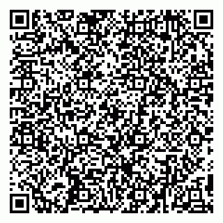 vCard 79194100339