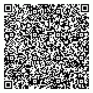 vCard 79194100343
