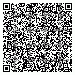 vCard 79194100352