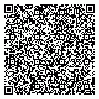 vCard 79194100355