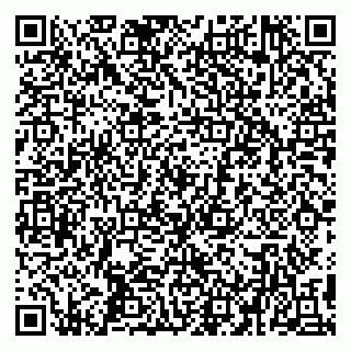 vCard 79194100373