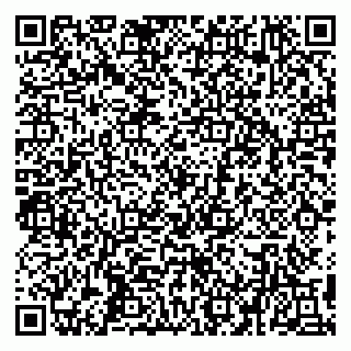 vCard 79194100376