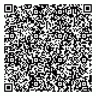 vCard 79194100378