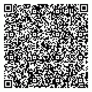 vCard 79194100379