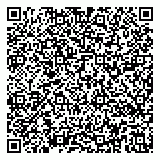 vCard 79194100380