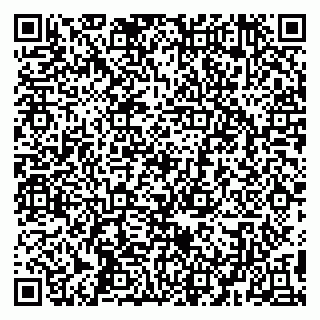 vCard 79194100381