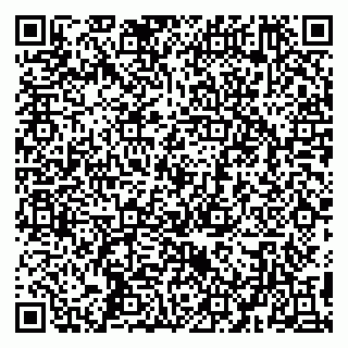 vCard 79194100382