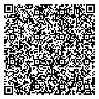 vCard 79194100383