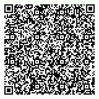 vCard 79194100384