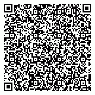 vCard 79194100385