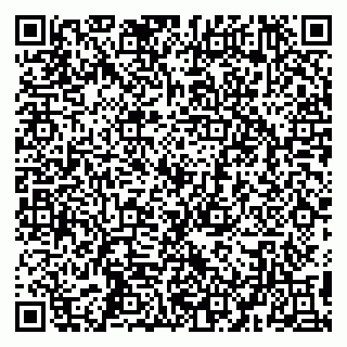 vCard 79194100387