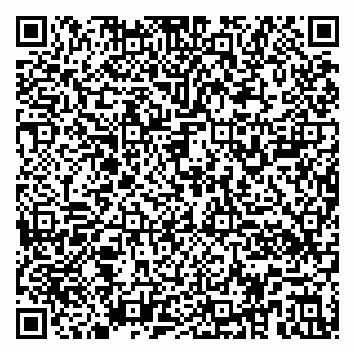 vCard 79194100388