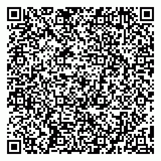 vCard 79194100389