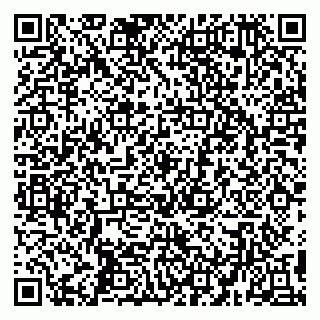 vCard 79194100390