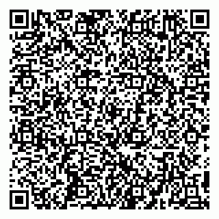 vCard 79194100392