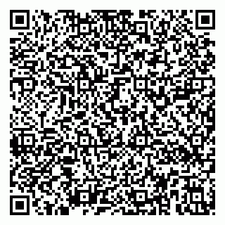 vCard 79194100393