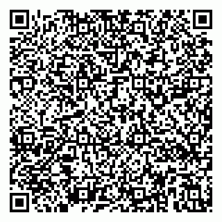 vCard 79194100394