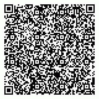 vCard 79194100398