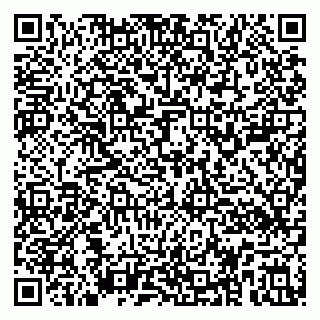 vCard 79194100399