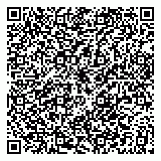 vCard 79194120039