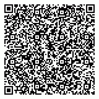 vCard 79194120235
