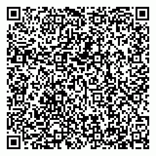 vCard 79195000026
