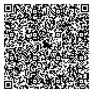 vCard 79195000380