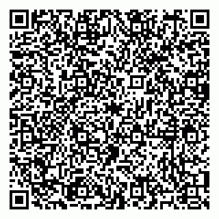 vCard 79195003039