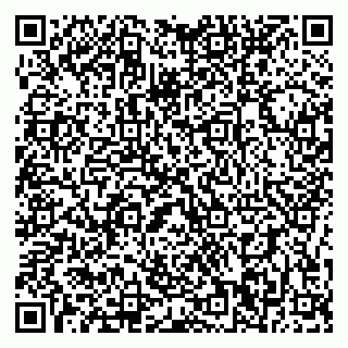 vCard 79196200009