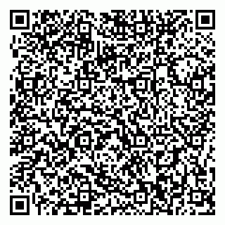 vCard 79196200131