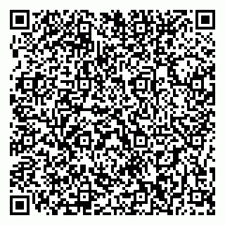 vCard 79196200211