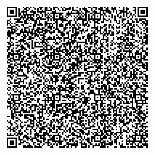 vCard 79196200217