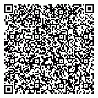 vCard 79196200281