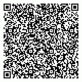 vCard 79196200285