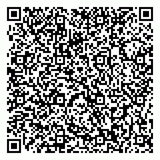 vCard 79196200286