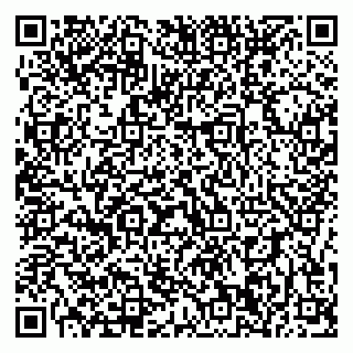 vCard 79196200294