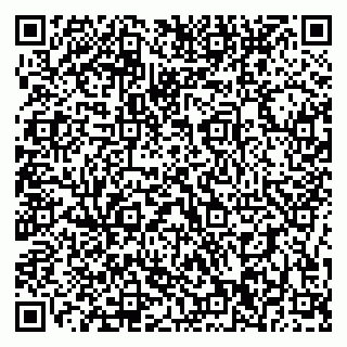 vCard 79196200301