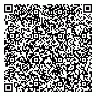 vCard 79196200303