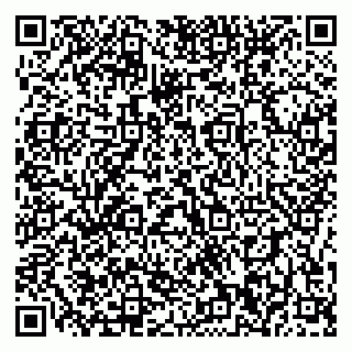 vCard 79196200310