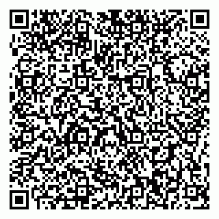 vCard 79196200311