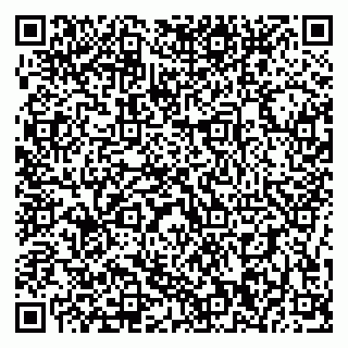 vCard 79196200312