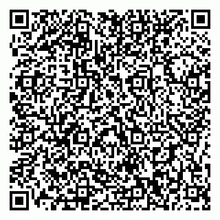 vCard 79196200313