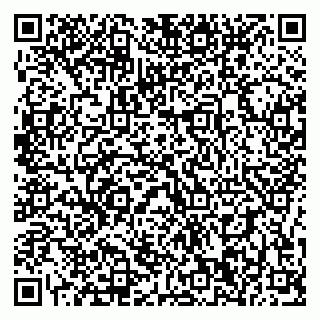 vCard 79196200314