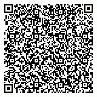 vCard 79196200316