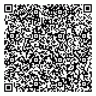 vCard 79196200317