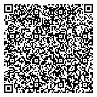 vCard 79196200318