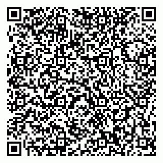 vCard 79196200326