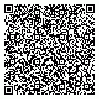 vCard 79196200329
