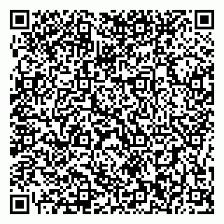 vCard 79196200330