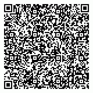 vCard 79196200331
